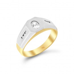 ανδρικό κίτρινο χρυσο δαχτυλίδι ζιργκόν D11400561