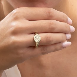 γυναικείο επίχρυσο ασημένιο δαχτυλίδι ζαγρέ D21100132(c)